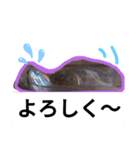 【亀】スタンプ日常会話（個別スタンプ：4）