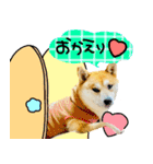 mimi♡♡♡mimi.4（個別スタンプ：7）