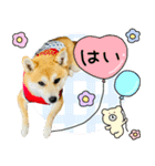 mimi♡♡♡mimi.4（個別スタンプ：15）