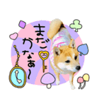 mimi♡♡♡mimi.4（個別スタンプ：20）