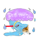 mimi♡♡♡mimi.4（個別スタンプ：23）