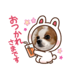 パピヨンのぴのちゃんスタンプ♡4（個別スタンプ：2）