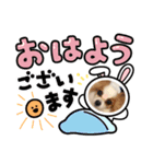 パピヨンのぴのちゃんスタンプ♡4（個別スタンプ：4）