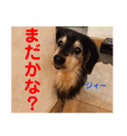 赤いりぼんの可愛い仲間達④（個別スタンプ：4）