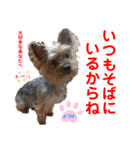 赤いりぼんの可愛い仲間達④（個別スタンプ：7）