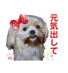 赤いりぼんの可愛い仲間達④（個別スタンプ：8）
