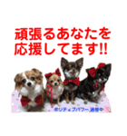 赤いりぼんの可愛い仲間達④（個別スタンプ：9）