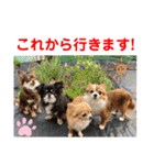 赤いりぼんの可愛い仲間達④（個別スタンプ：10）