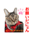 赤いりぼんの可愛い仲間達④（個別スタンプ：17）