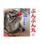 赤いりぼんの可愛い仲間達④（個別スタンプ：18）