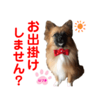 赤いりぼんの可愛い仲間達④（個別スタンプ：22）