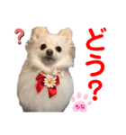 赤いりぼんの可愛い仲間達④（個別スタンプ：23）