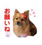 赤いりぼんの可愛い仲間達④（個別スタンプ：26）