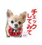 赤いりぼんの可愛い仲間達④（個別スタンプ：27）
