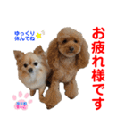 赤いりぼんの可愛い仲間達④（個別スタンプ：29）