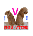 赤いりぼんの可愛い仲間達④（個別スタンプ：30）