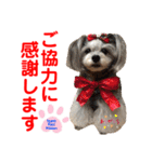 赤いりぼんの可愛い仲間達④（個別スタンプ：32）
