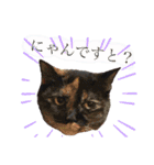 我が家の毎日のスタンプ（個別スタンプ：24）