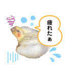 ザ・ピートルズ②（個別スタンプ：29）
