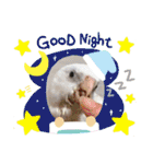 ザ・ピートルズ②（個別スタンプ：36）