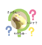 ザ・ピートルズ②（個別スタンプ：37）