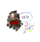 ザ・ピートルズ②（個別スタンプ：40）