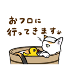 ねこすたんぷ。【メイ】（個別スタンプ：17）