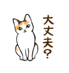 ねこすたんぷ。【メイ】（個別スタンプ：27）