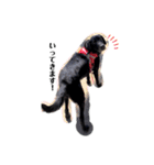 愛犬ころんのスタンプ（個別スタンプ：4）