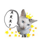 小鉄＊小梅＊（個別スタンプ：2）