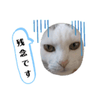 小鉄＊小梅＊（個別スタンプ：3）