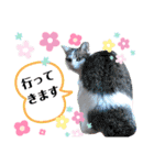 小鉄＊小梅＊（個別スタンプ：4）