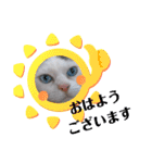 小鉄＊小梅＊（個別スタンプ：5）