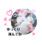 小鉄＊小梅＊（個別スタンプ：7）