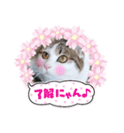 小鉄＊小梅＊（個別スタンプ：8）