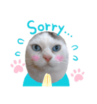 小鉄＊小梅＊（個別スタンプ：9）