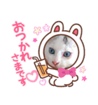 小鉄＊小梅＊（個別スタンプ：12）