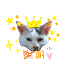 小鉄＊小梅＊（個別スタンプ：23）