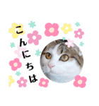 小鉄＊小梅＊（個別スタンプ：24）