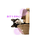 うみとそら。癒しのスタンプ③（個別スタンプ：20）