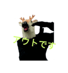敬語鹿人間スタンプ（個別スタンプ：30）