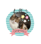 モカのスタンプ♡♡（個別スタンプ：1）