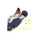 5572！（個別スタンプ：1）