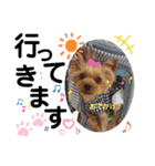 蓮杏スタンプ2～我が家の愛犬～（個別スタンプ：2）
