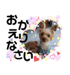 蓮杏スタンプ2～我が家の愛犬～（個別スタンプ：4）