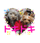 蓮杏スタンプ2～我が家の愛犬～（個別スタンプ：32）