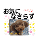 蓮杏スタンプ2～我が家の愛犬～（個別スタンプ：39）