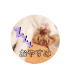 ももちゃんの日常1（個別スタンプ：3）
