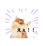 ももちゃんの日常1（個別スタンプ：4）