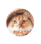 ももちゃんの日常1（個別スタンプ：5）